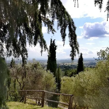 Calbini